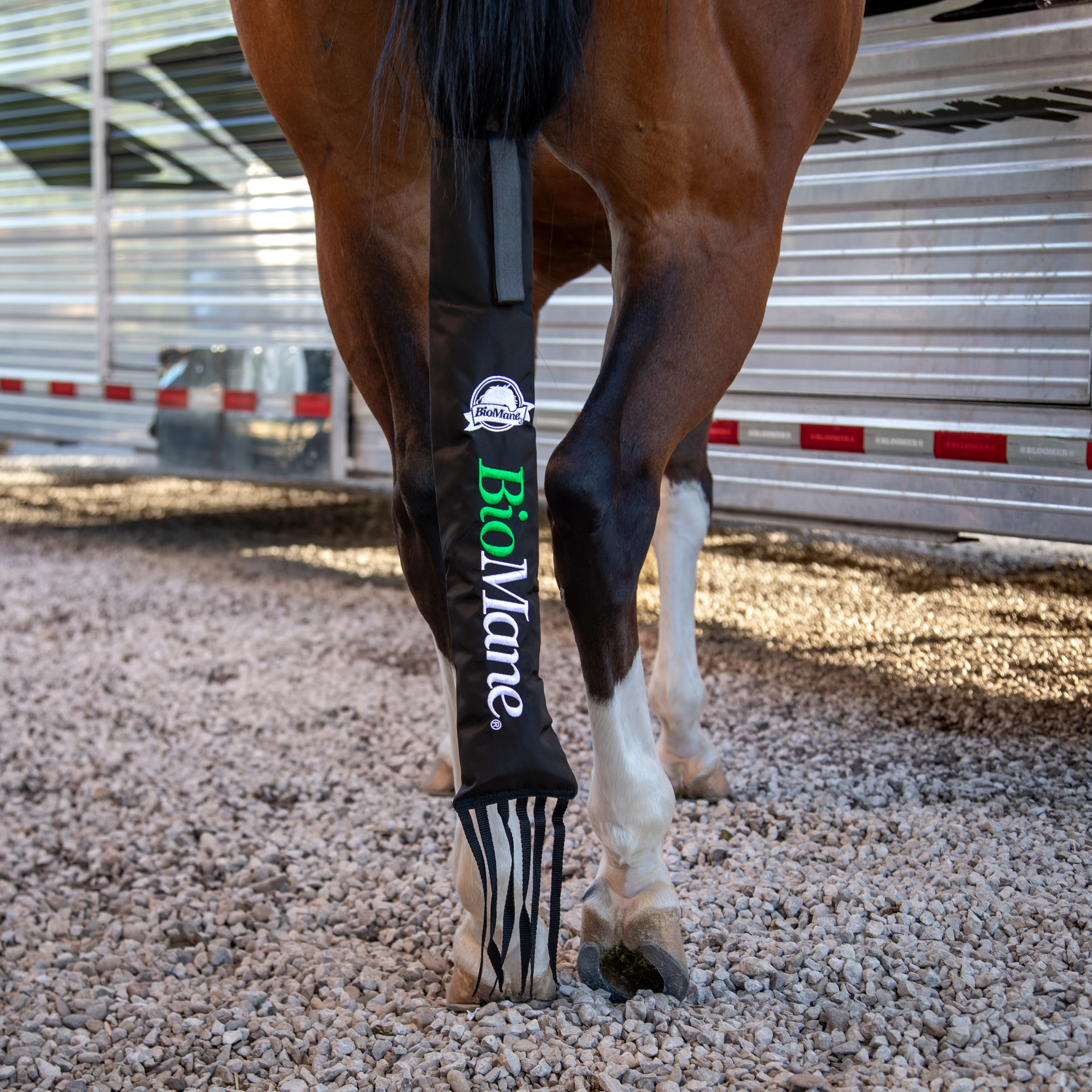 Longer Manes, Healthier Tails