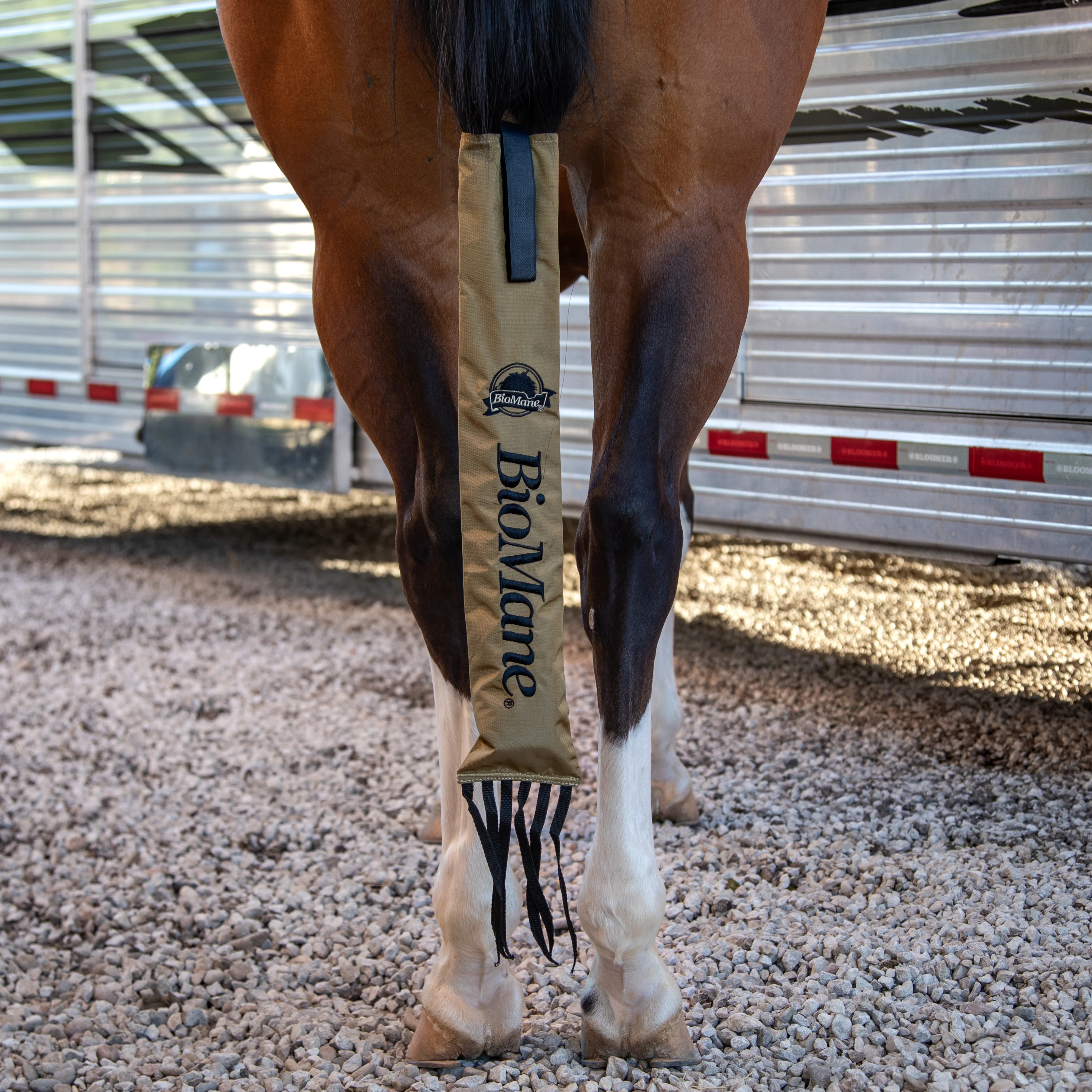 Tailbag - Image 12