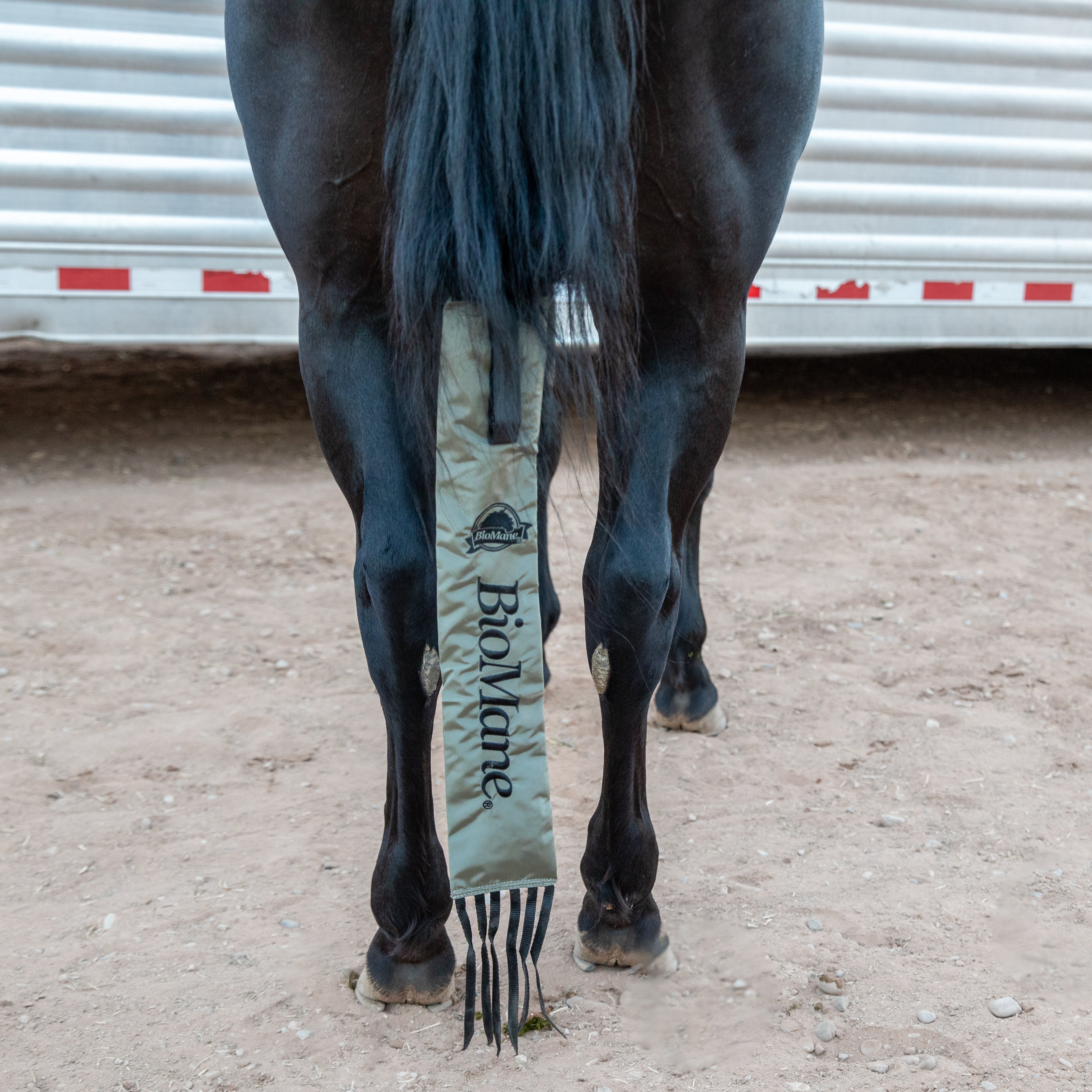 Tailbag - Image 6